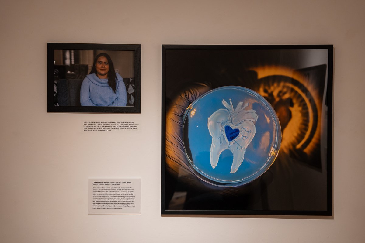 UoA Medicine, Medical Sciences and Nutrition tweet media