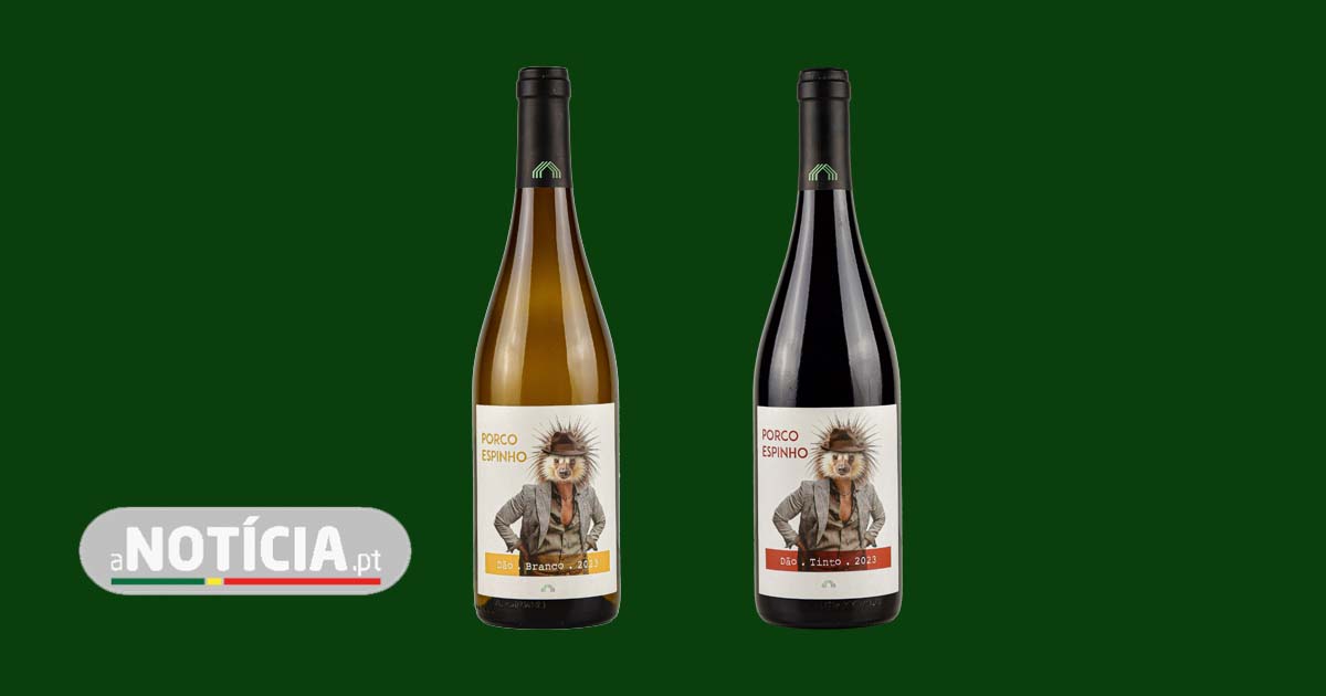 anoticiaPT's tweet photo. Porco Espinho: A nova gama de vinhos da Cas’Amaro que celebra o Dão
@anoticiaPT #lisboa #vinhosdelisboa #dao #daowines #WineLovers
https://t.co/MIT29mDeus https://t.co/tzygdD9Ozc