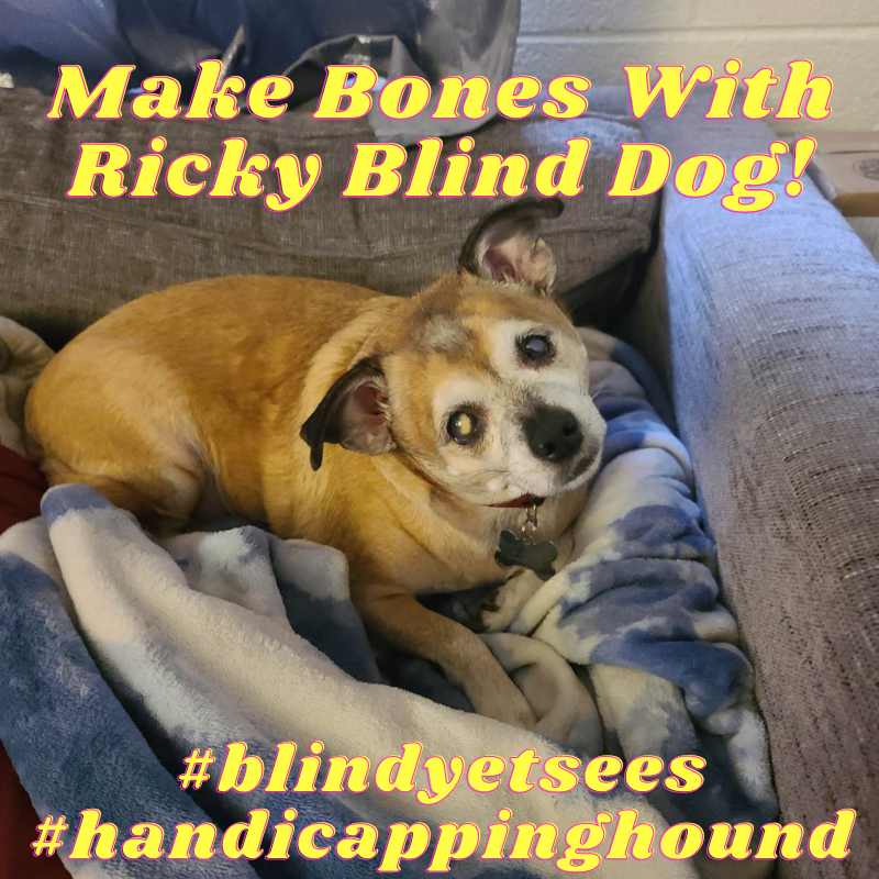 ClassicGolferUS's tweet photo. Ricky Blind Dog found yet another winner yesterday for #handicappinghound fans everywhere! Today he is back and on the hunt for yet more bacon! https://t.co/7xh3be3eBZ