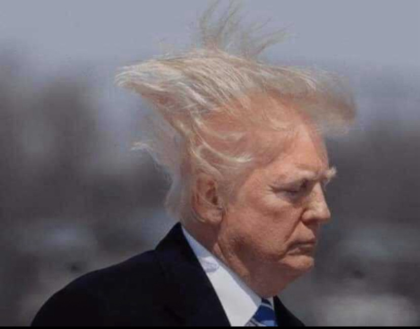Lynno182's tweet photo. Maybe Trump should talk to Elon about hair plugs first https://t.co/a0vjZUsUdl