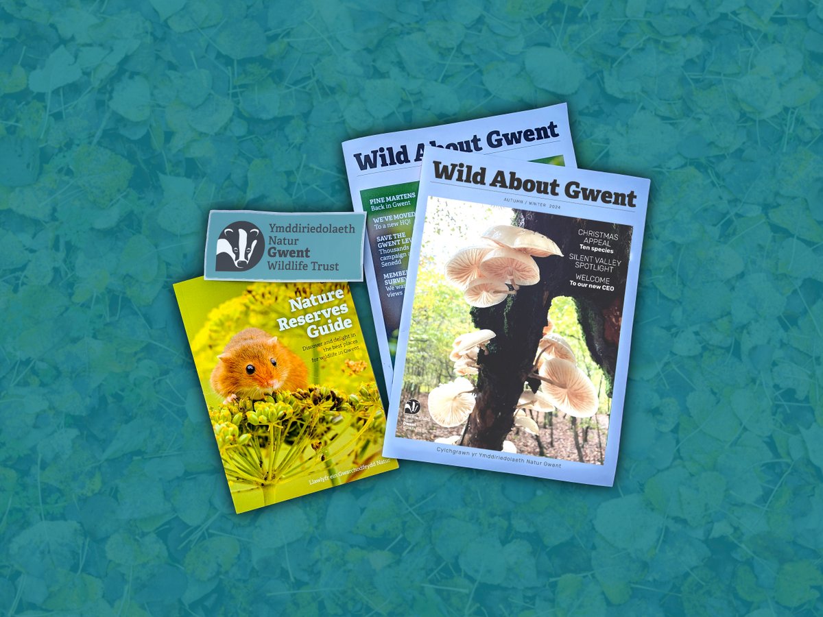 Pack more in to 2025 with a half price membership! 🌳

Thank you to everyone who has joined so far, helping us to grow the movement and protect local wildlife - your membership packs are on their way!

👉 gwentwildlife.org/january-member…