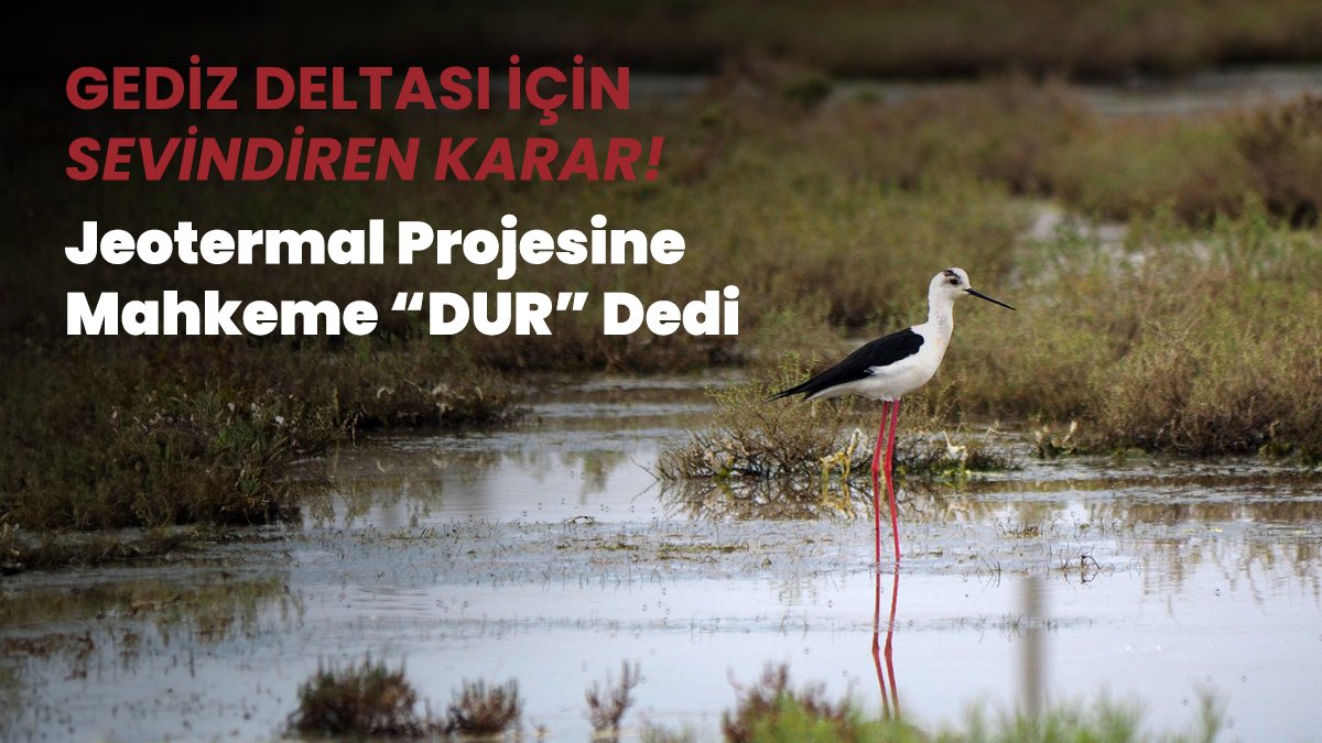Gediz Deltası’nda Jeotermale Karşı Mahkemeden Yürütmeyi Durdurma Kararı!

2021 yılında İzmir Gediz Deltası’nda jeotermal arama projesi için ÇED (Çevresel Etki Değerlendirmesi) süreci başlamış ve Çevre, Şehircilik ve İklim Değişikliği Bakanlığı ‘ÇED gerekli değildir’ kararı