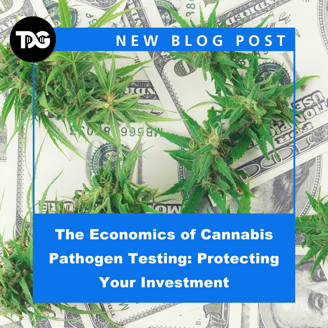 🔬 TUMI Genomics tweet media