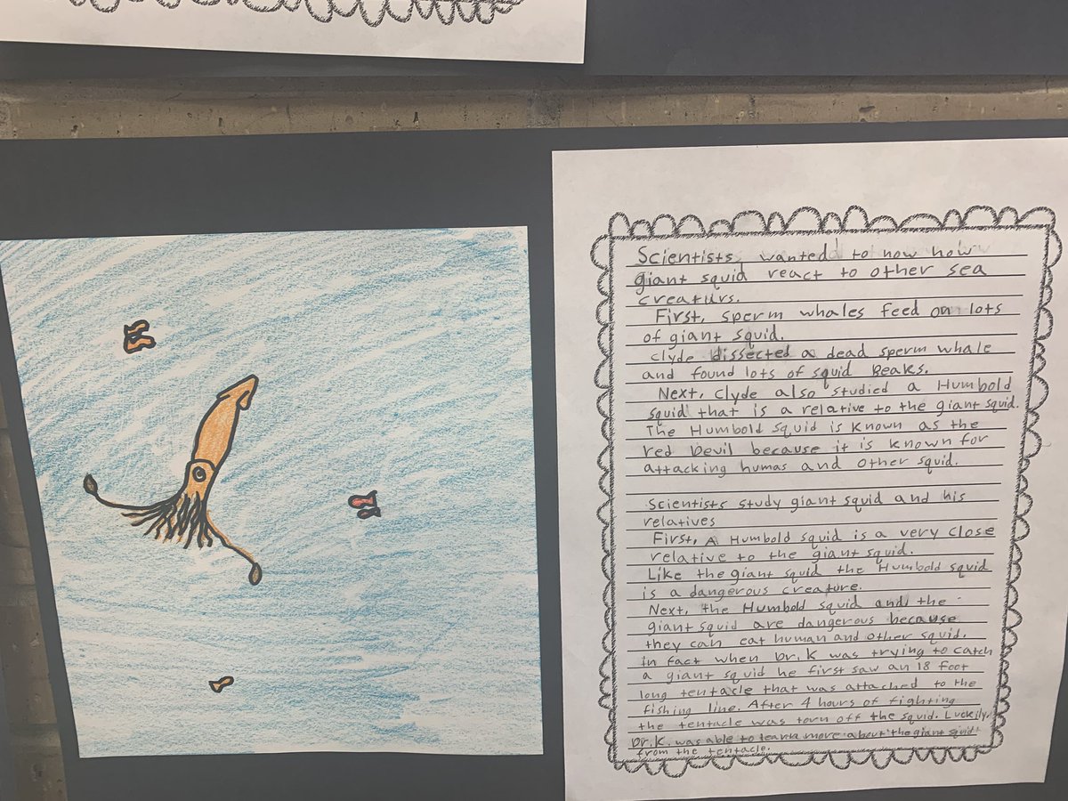 Fort Crook Falcons tweet media