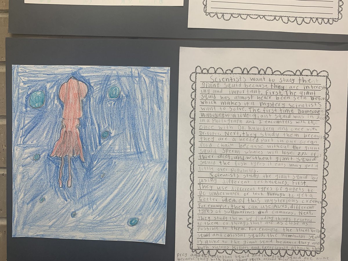 Fort Crook Falcons tweet media