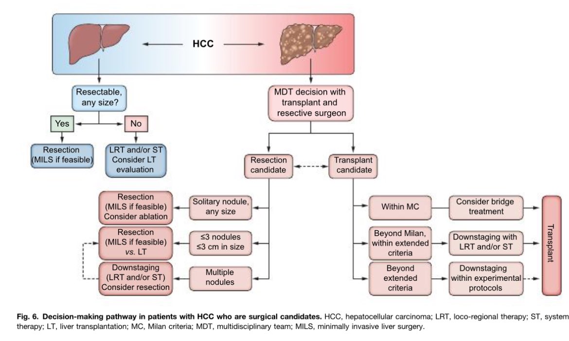 Erman Akkus tweet media