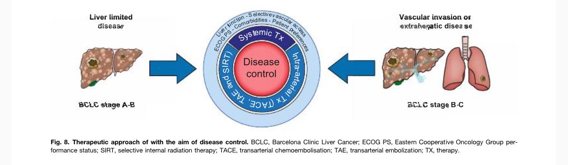 Erman Akkus tweet media