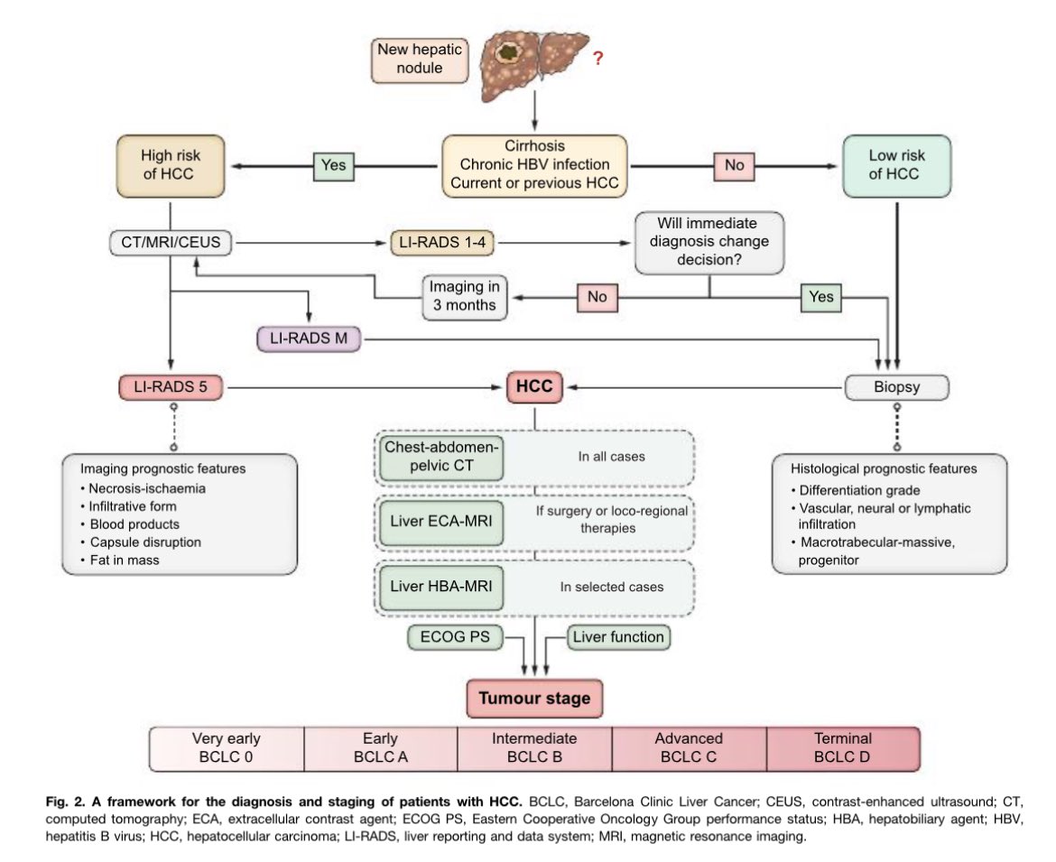 Erman Akkus tweet media