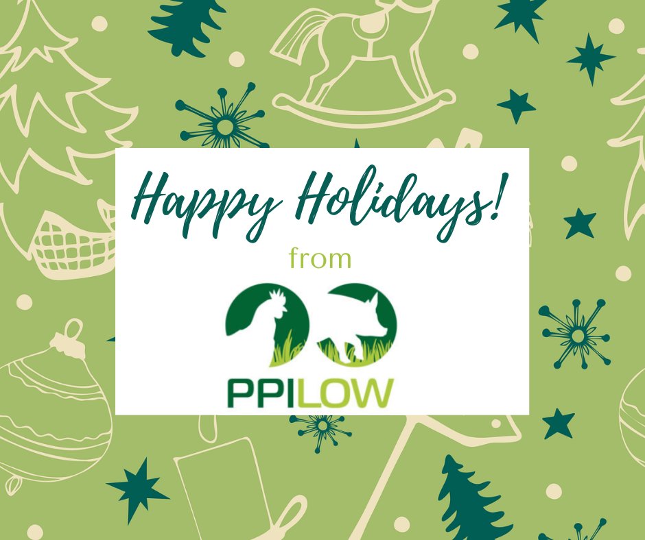 🐷🐔PPILOW project wishes you Happy Holidays and a Happy New Year!🍾🥂