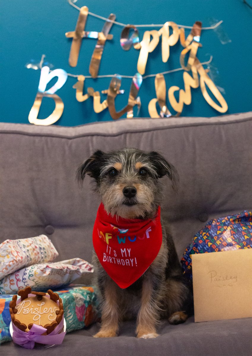clambofficial's tweet photo. This is nine 🥳

It was our little girl’s ninth birthday last Thursday! Can’t believe she’s only one year away from the double digits.

Hope you had an amazing day, Pais. We all love you so much 💗 https://t.co/agIP1vb4Xt
