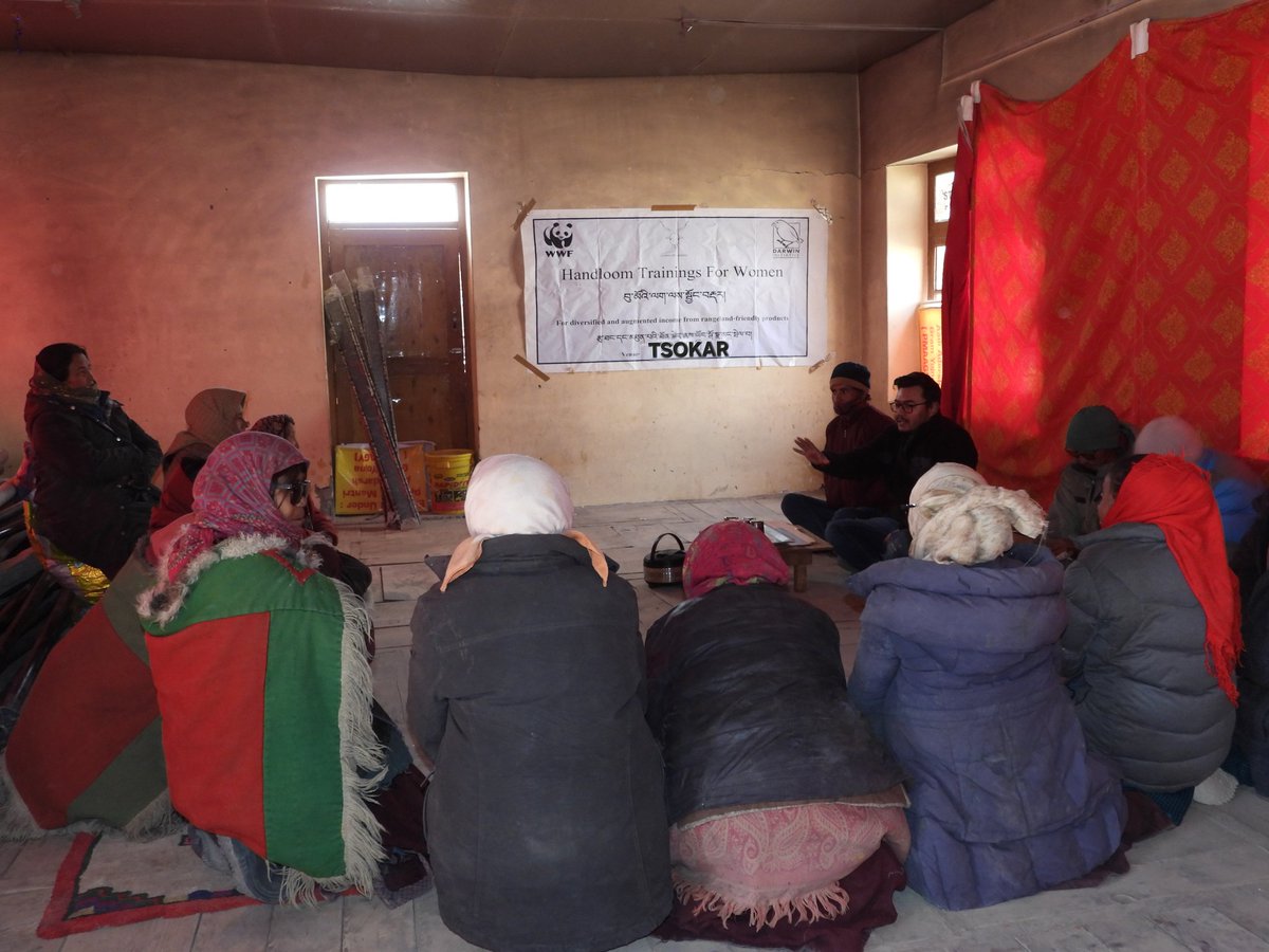 TheRealRD12's tweet photo. WWF-India celebrates the successful conclusion of Handloom Training in #Nyoma subdivision! 🌟 The final phase has begun in #Tsokar village, empowering #Changpa women with skills to boost livelihoods & promote conservation.
Thanks to all who made this possible!
#WomenEmpowerment https://t.co/GOO02VxAL5