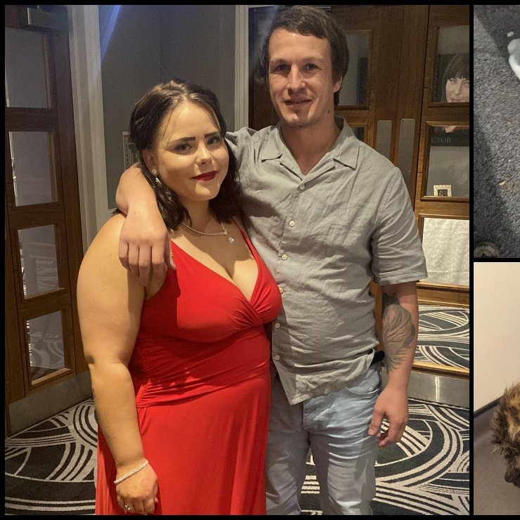 AdoptionsUk's tweet photo. Please retweet, CONVICTED | Rhiannon Richards, 26, and Simon Brown,  32, from #Ystalyfera, #Swansea  #WALES #UK #SA9 – for cruelty to two dogs found in an emaciated condition at their home- AVOID JAIL‼️‼️
RSPCA Inspector Gemma Cooper attended the couple’s home on Saturday 13 April 2024 after receiving a complaint about an underweight dog called Marshall. Although she was unable to gain access she could see a dog cage containing a lurcher and a collie type dog. She posted a card through the letterbox asking for the owner to make contact.
Simon Brown responded to the card and arrangements were made for Inspector Cooper to attend on Sunday 14 April 2024
Inspector Cooper said: “In the kitchen were two dog crates, one that I had seen the top of Marshall in the day before and a second one with a small, brindle crossbreed who I was told was Shadow.
“Inside the cage with Shadow was an extremely large saucepan full of pasta, meat and a grape that looked untouched.
“There was also a bowl of water but no bedding and Shadow was curled up at the back of the crate. I asked if I could feel him as I could not see his body weight due to his long fur and Rhiannon Richards opened the crate door and called him. Shadow did not react to the opening of the door or the call from Rhiannon Richards. He was extremely lethargic and depressed.”
When Shadow came out of the cage his back end and legs were covered in urine.
“As I held Shadow I could feel every bone in his body,” said Inspector Cooper.
“He was lifeless and made no attempt to engage with me.”
The couple told her that they had “rescued” Shadow from a neglectful owner the day before her visit. Neither Richards nor Brown were able to prove this, however.
Inspector Cooper also was introduced to a third dog Rocky who was of a reasonable weight.
Marshall and Shadow were transported to a vet who confirmed that they were suffering, leading to them being seized by police and passed into the RSPCA’s care.
In a witness statement, provided to the court, the vet said Marshall was in a “very emaciated body condition” and was given a body score of one out of nine. He also had pressure sores and alopecia all over his body. He also had dry skin around his face, ears and paws and flea dirt was present throughout his coat.
The vet said Marshall had been suffering for a minimum for two weeks, but likely longer.
Shadow was also presented to be in an emaciated condition with a body condition score of one and a half out of nine.
“He was very quiet and flat in the room and it was noted he walked with a hunched posture, preferring to curl up in the corner.” He also had flea dirt throughout his coat and he had moderate urine scald on his back and smelt quite strong of ammonia.
The vet believed he too had been suffering for a minimum for two weeks, but likely longer.
Following sentencing Inspector Cooper said: “Both Marshall and Shadow were clearly suffering, but thankfully following vet care and an appropriate diet they have transformed into two healthy dogs.”
Inspector Cooper added: “Shadow has been happily homed and we hope Marshall will soon also find his forever home.”
In mitigation it was heard that the couple had “financial issues”.
Sentencing |
Richards: 18-month community order with 20 days of ‘rehabilitation’ and 80 hours of unpaid work. She was ordered to pay £150 costs and a £114 victim surcharge.
Brown: 18 month community order with 15 days of ‘rehabilitation’ and 120 hours of unpaid work. He was ordered to pay £300 costs and a £114 victim surcharge.
Both are disqualified from keeping all animals for seven years.
https://t.co/X1L2NU0ymo
https://t.co/nHwHjJlzB0

#dogs #dog @APDAWG1 @RSPCA_official #Neath #RhiannonRichards #SimonBrown #animalabusers #pets #animals #adoptdontshop