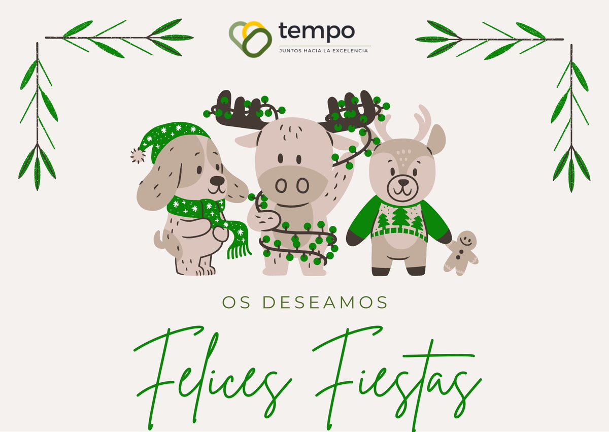 Tempo Consultores tweet media