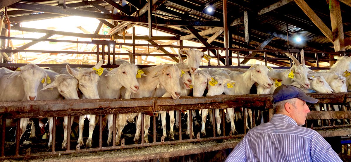 And a beautiful family quick trip to <a href="/curicochile/">Curico Chile</a>, to #LAChile #LosÁngelesChile, #LosOlmos 🍒 and my loved and most favourite #FundoTarpellanca 🤩🥰, as I’ve always been and always am a #FarmGirlFromChile 🐎🇨🇱❤️