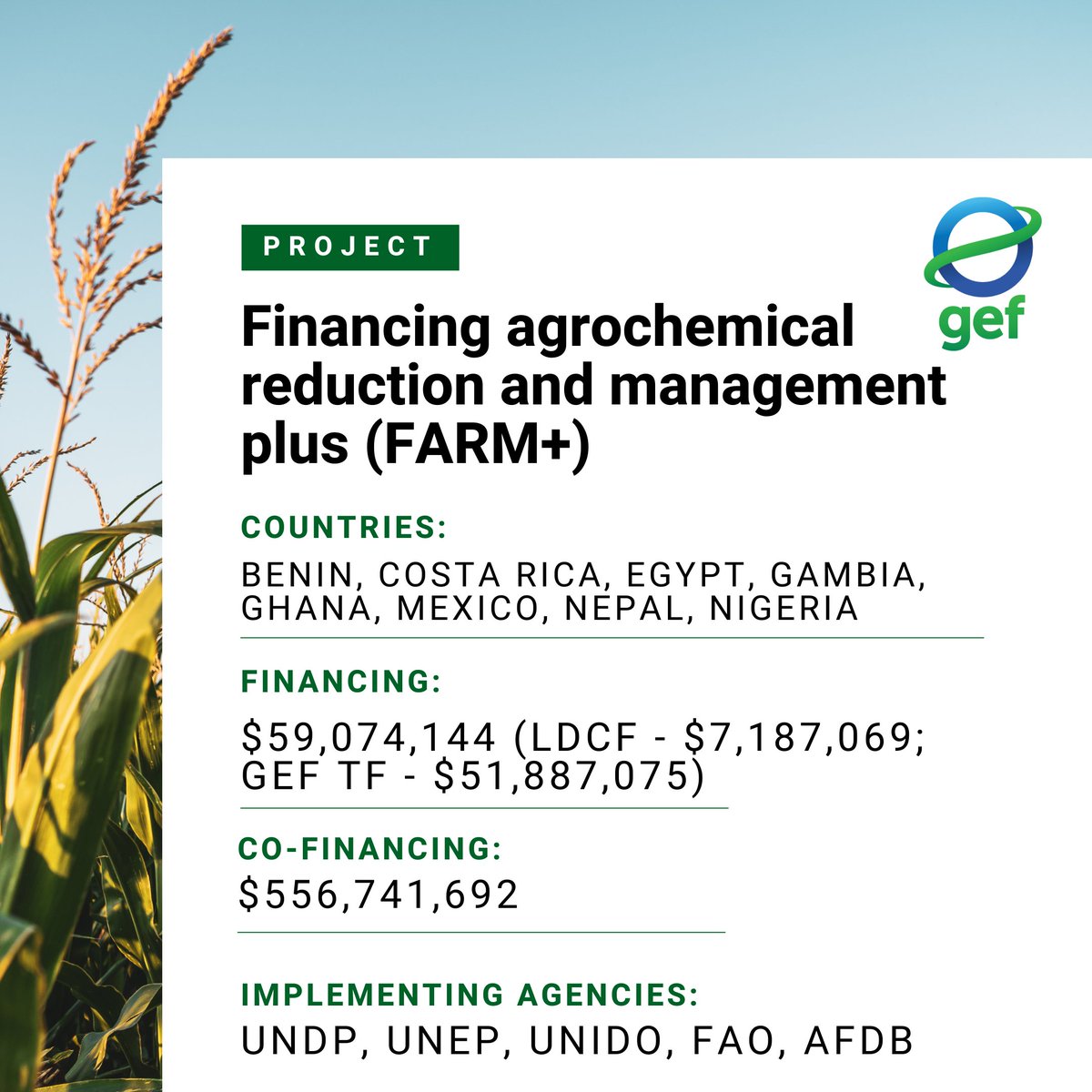 Global Environment Facility (GEF) (@thegef) on Twitter photo ✅Approved today at #GEFcouncil68: <a href="/theGEF/">Global Environment Facility (GEF)</a> and #LDCF-supported FARM+ program builds on the existing program & will help reduce agrochemical use, improve soil health, and combat pollution, advancing sustainable, climate-resilient agriculture.
🔗 thegef.org/projects-opera… ✅Approved today at #GEFcouncil68: <a href="/theGEF/">Global Environment Facility (GEF)</a> and #LDCF-supported FARM+ program builds on the existing program & will help reduce agrochemical use, improve soil health, and combat pollution, advancing sustainable, climate-resilient agriculture.
🔗 thegef.org/projects-opera…