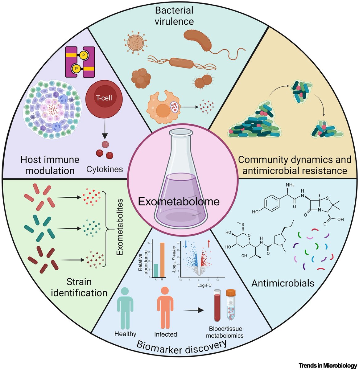 Trends in Microbiology (@trendsmicrobiol) on Twitter photo The exometabolome as a hidden driver of bacterial virulence and pathogenesis
Review by Saurabh Chugh (<a href="/Saurabh_Chugh09/">saurabh chugh</a>), Fabien Létisse & Olivier Neyrolles (<a href="/ONeyrolles/">Olivier Neyrolles</a>)
Free access until Feb. 6th: dlvr.it/TGttMQ The exometabolome as a hidden driver of bacterial virulence and pathogenesis
Review by Saurabh Chugh (<a href="/Saurabh_Chugh09/">saurabh chugh</a>), Fabien Létisse & Olivier Neyrolles (<a href="/ONeyrolles/">Olivier Neyrolles</a>)
Free access until Feb. 6th: dlvr.it/TGttMQ