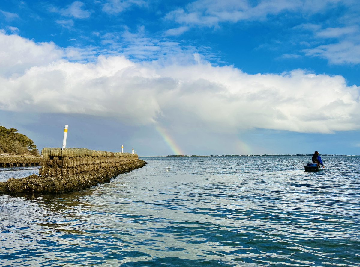 Alexis Longmire (@alexislongmire_) on Twitter photo Double rainbow 🌈 over the Rachel Carson Reserve’s new living shoreline <a href="/NCReserve/">N.C. Coastal Reserve</a>
We’re testing out ways to track fish 🐠 around these structures for one of my projects funded by <a href="/NCCollaboratory/">NC Collaboratory</a> and <a href="/NCCoastalFed/">N.C. Coastal Fed</a> Double rainbow 🌈 over the Rachel Carson Reserve’s new living shoreline <a href="/NCReserve/">N.C. Coastal Reserve</a>
We’re testing out ways to track fish 🐠 around these structures for one of my projects funded by <a href="/NCCollaboratory/">NC Collaboratory</a> and <a href="/NCCoastalFed/">N.C. Coastal Fed</a>