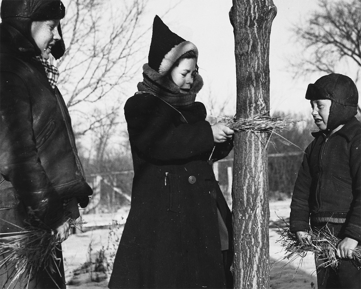 National Film Board of Canada tweet media