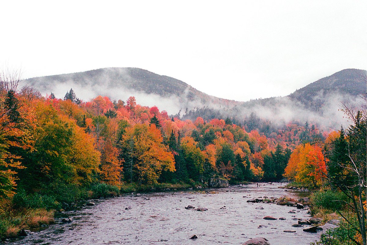 nev_in_color's tweet photo. autumn on 35mm 🎞️ https://t.co/TPZAU3ZxJl