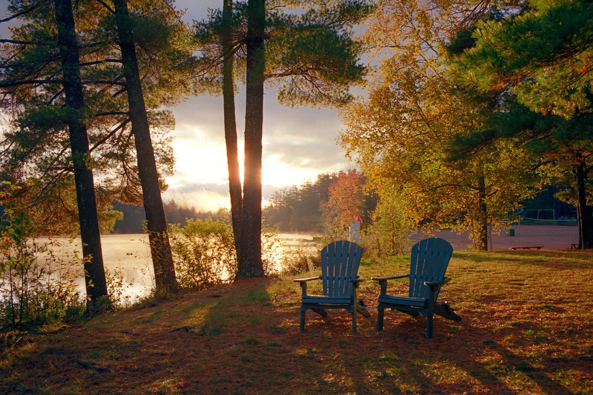 nev_in_color's tweet photo. autumn on 35mm 🎞️ https://t.co/TPZAU3ZxJl