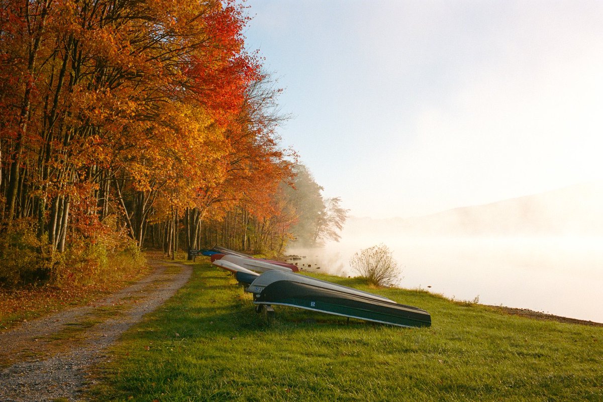nev_in_color's tweet photo. autumn on 35mm 🎞️ https://t.co/TPZAU3ZxJl