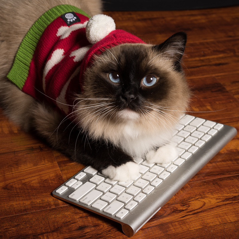 Manatee County Dems tweet media