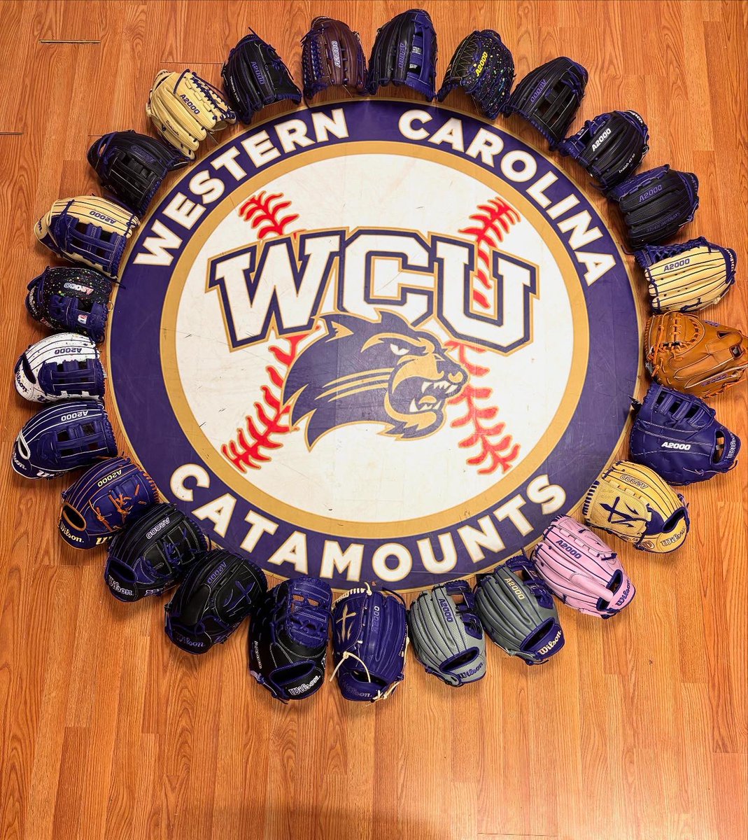 Western Carolina Baseball tweet media