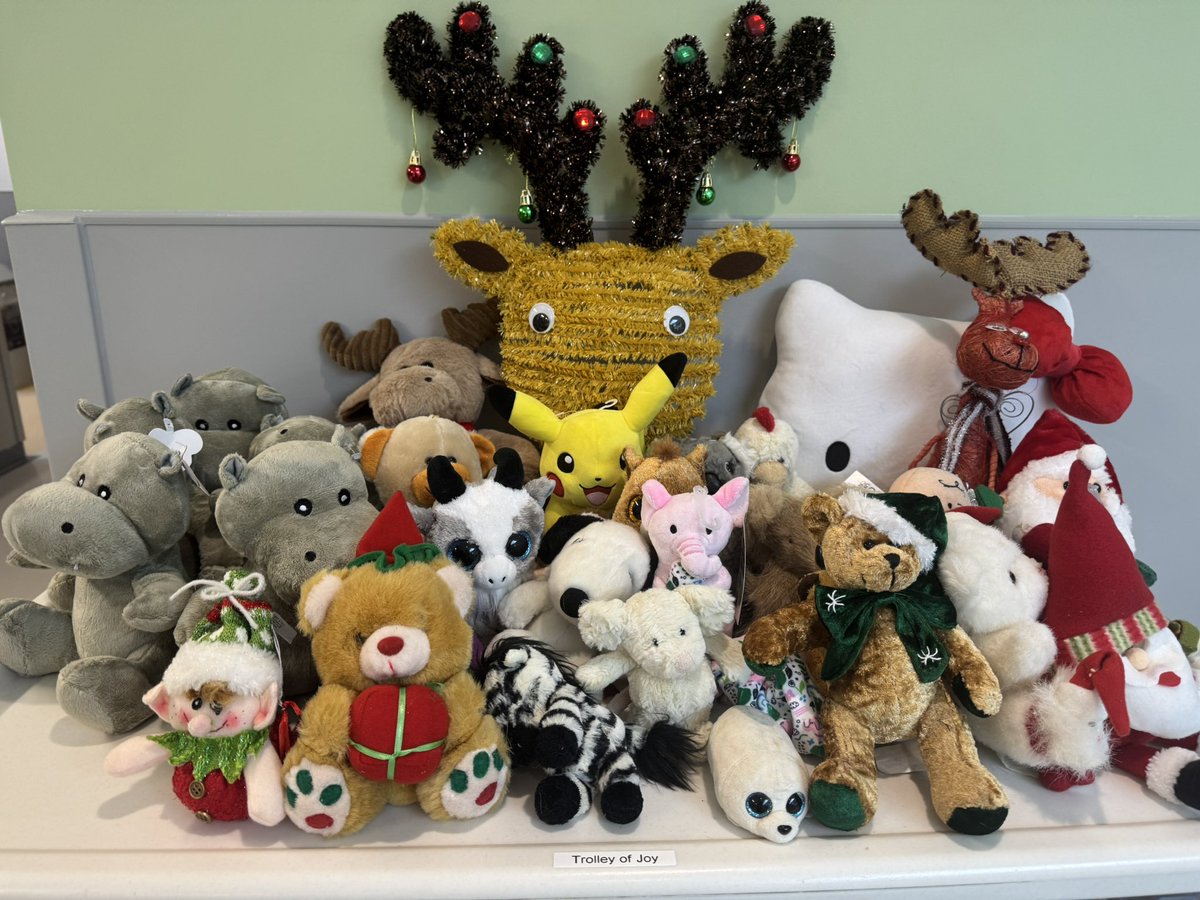 Katie Rix tweet media