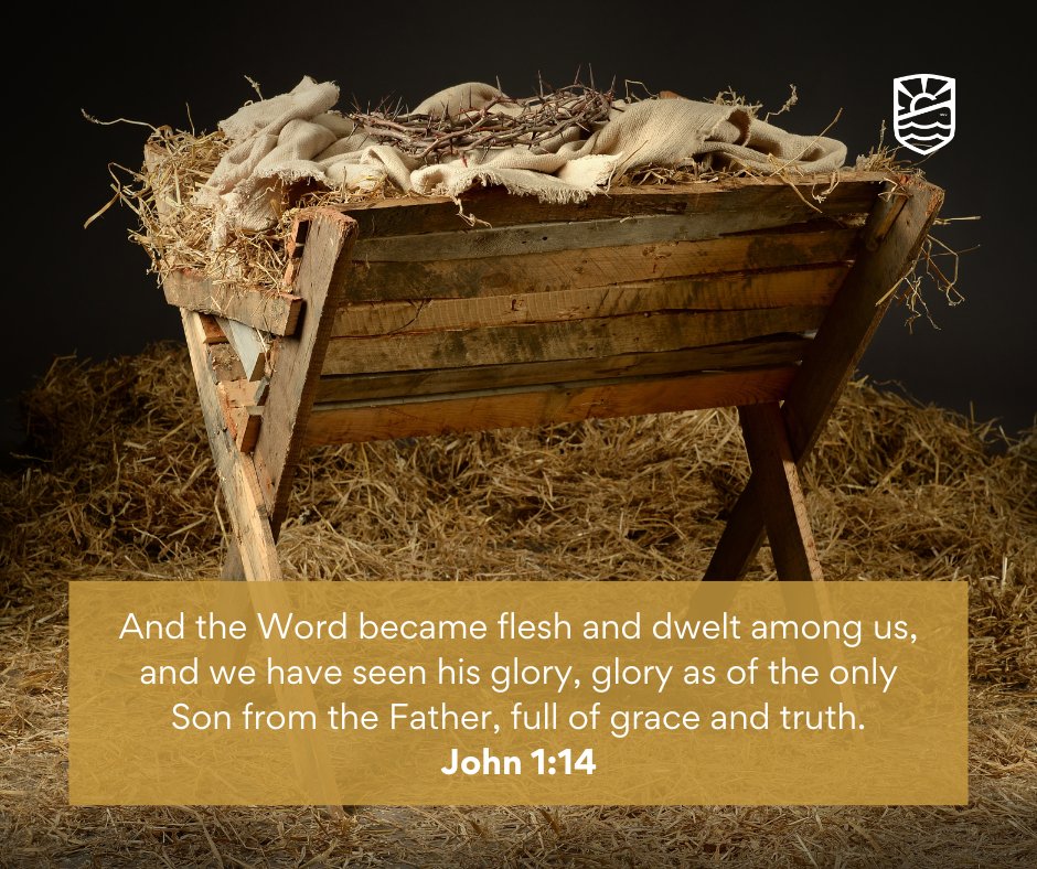 Comfort International (@comfort_int) on Twitter photo 