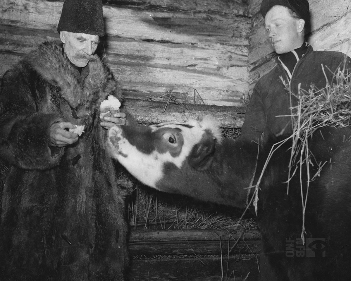 National Film Board of Canada tweet media