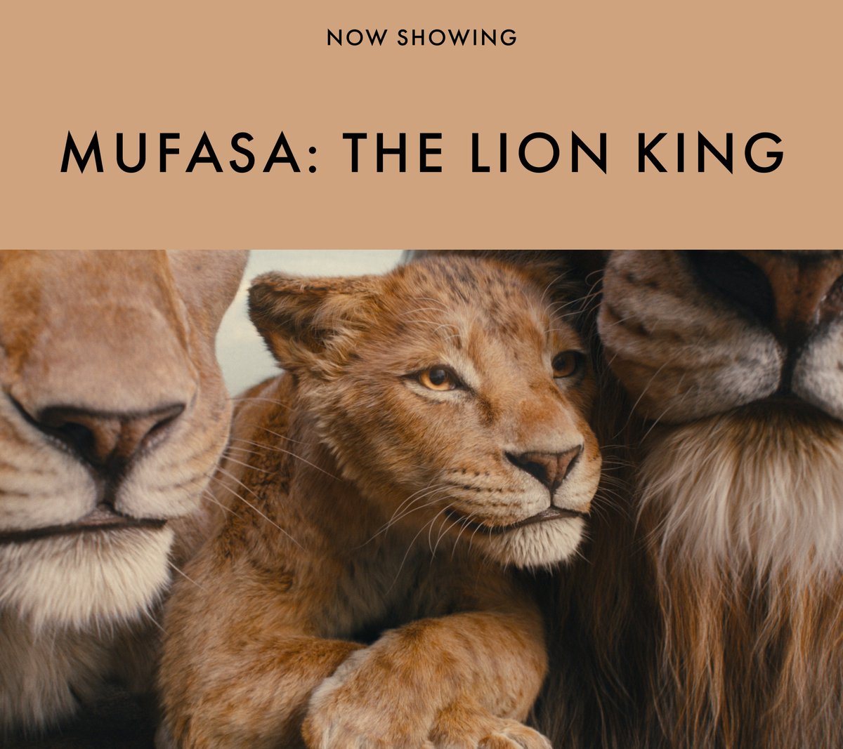 Tickets on sale now!

#Mufasa #Nosferatu #WeLiveInTime #BetterMan