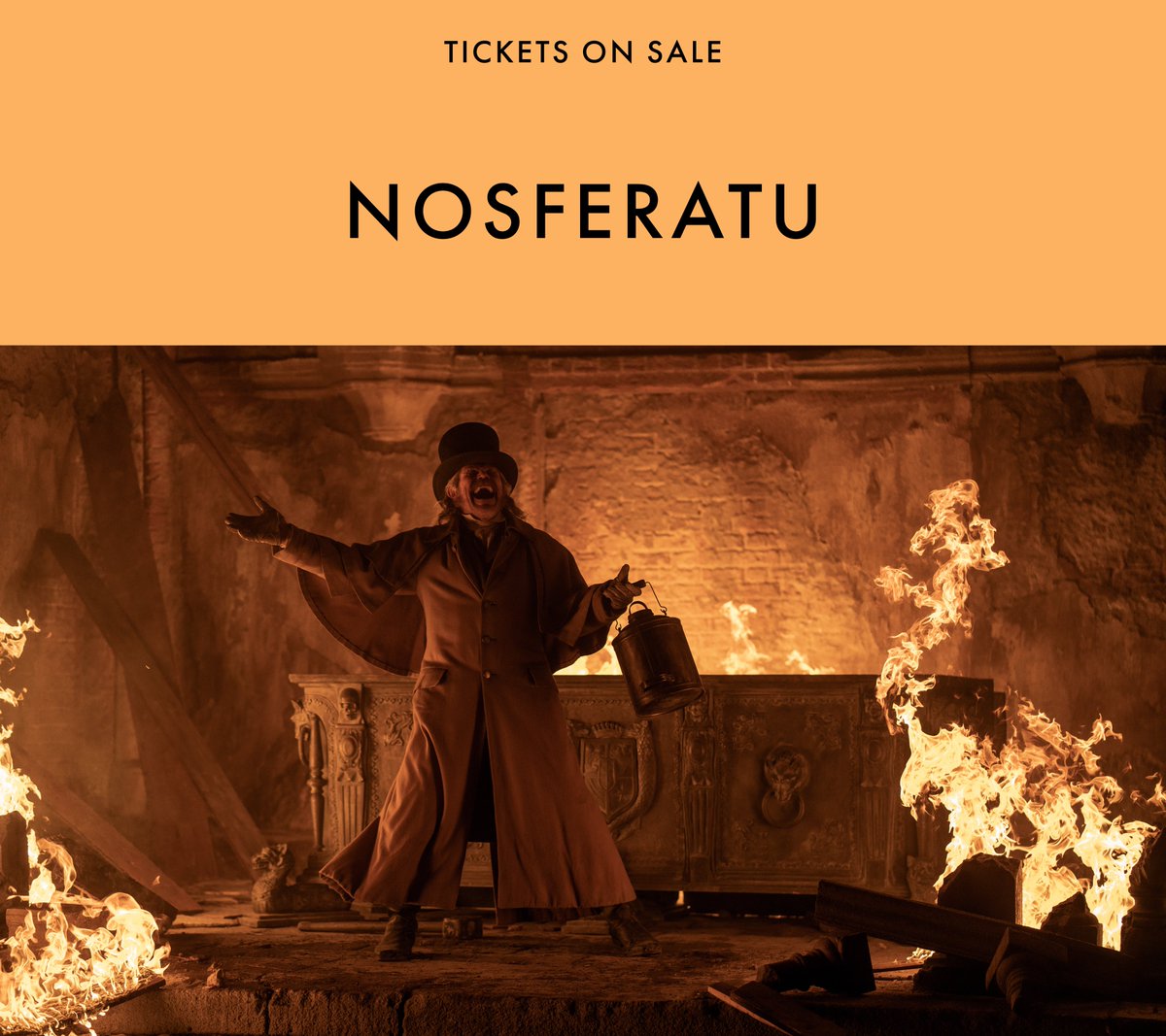 Curzon Sheffield tweet media