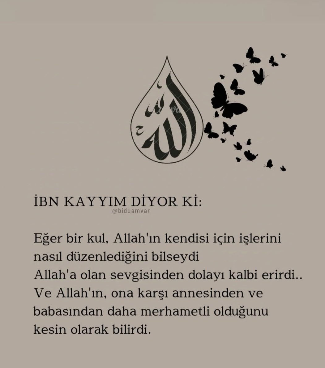 Esen Ozturk (@esenozturk41) on Twitter photo 