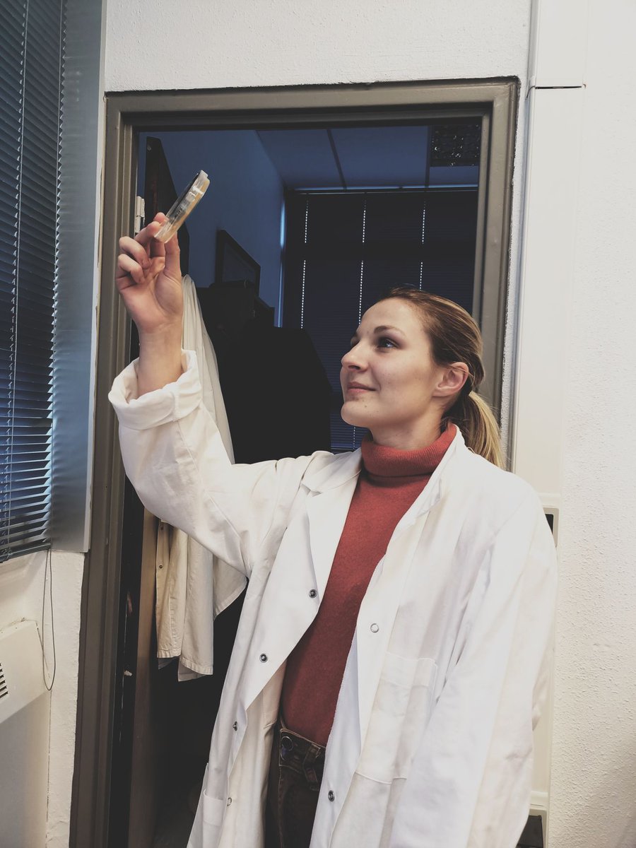 leo_viridis's tweet photo. Welcome to Marie Leneveu who start a PhD  in our lab to improve our bioprocess Phenomen using Phages and IA! https://t.co/WwgjfW6CYF