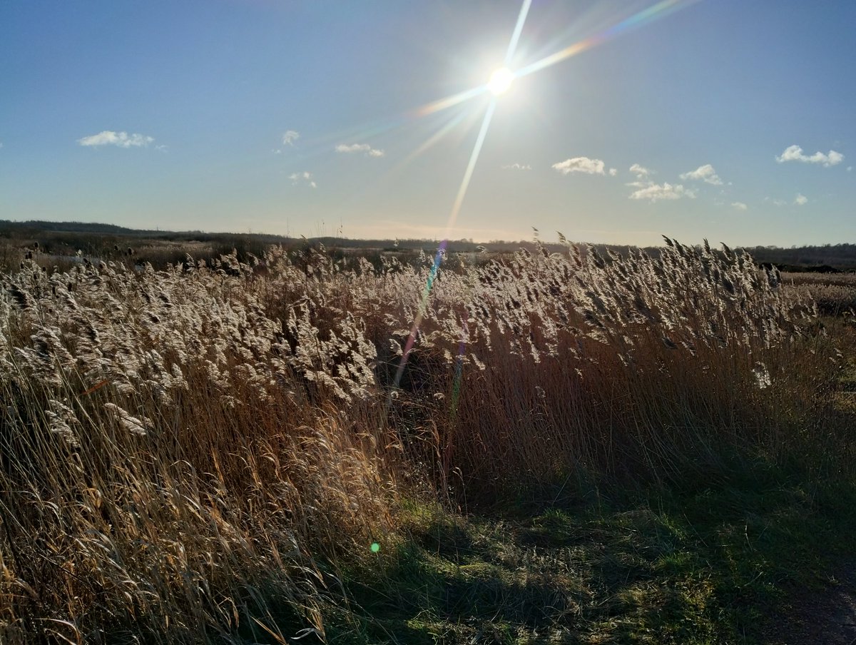 John Clewarth tweet media