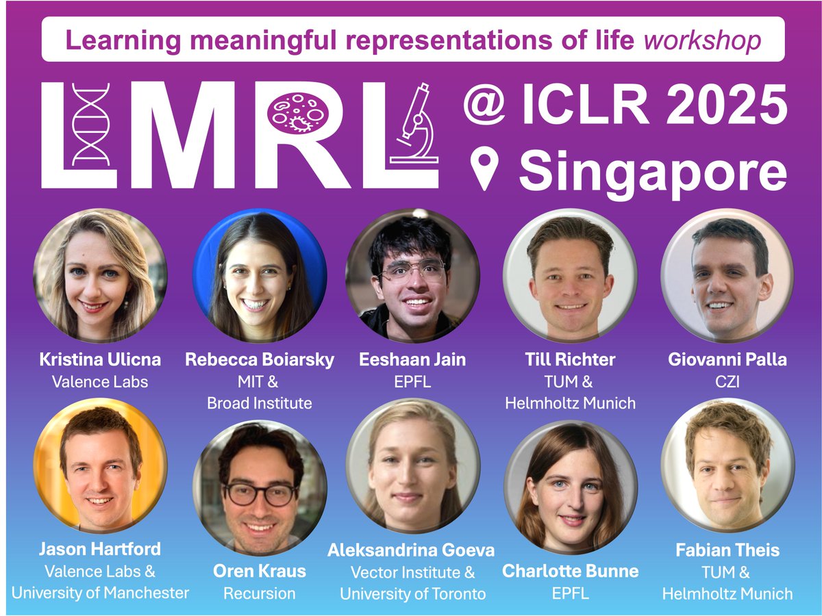 Kristina Ulicna, PhD 👩💻 (@kristinaulicna) on Twitter photo Exciting news! 🚀 The Learning Meaningful Representations of Life (#LMRL 🌟) workshop is returning at #ICLR2025! 🎉
On 27th / 28th April 2025 in Singapore 🇸🇬, this popular event returns with a fresh organizing team 👇 & bold new ideas 🧠 to explore bridging AI & life sciences 🧬 Exciting news! 🚀 The Learning Meaningful Representations of Life (#LMRL 🌟) workshop is returning at #ICLR2025! 🎉
On 27th / 28th April 2025 in Singapore 🇸🇬, this popular event returns with a fresh organizing team 👇 & bold new ideas 🧠 to explore bridging AI & life sciences 🧬