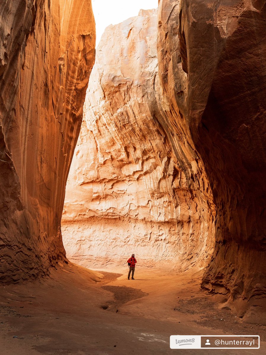 Hunter Rayl | Photographer tweet media