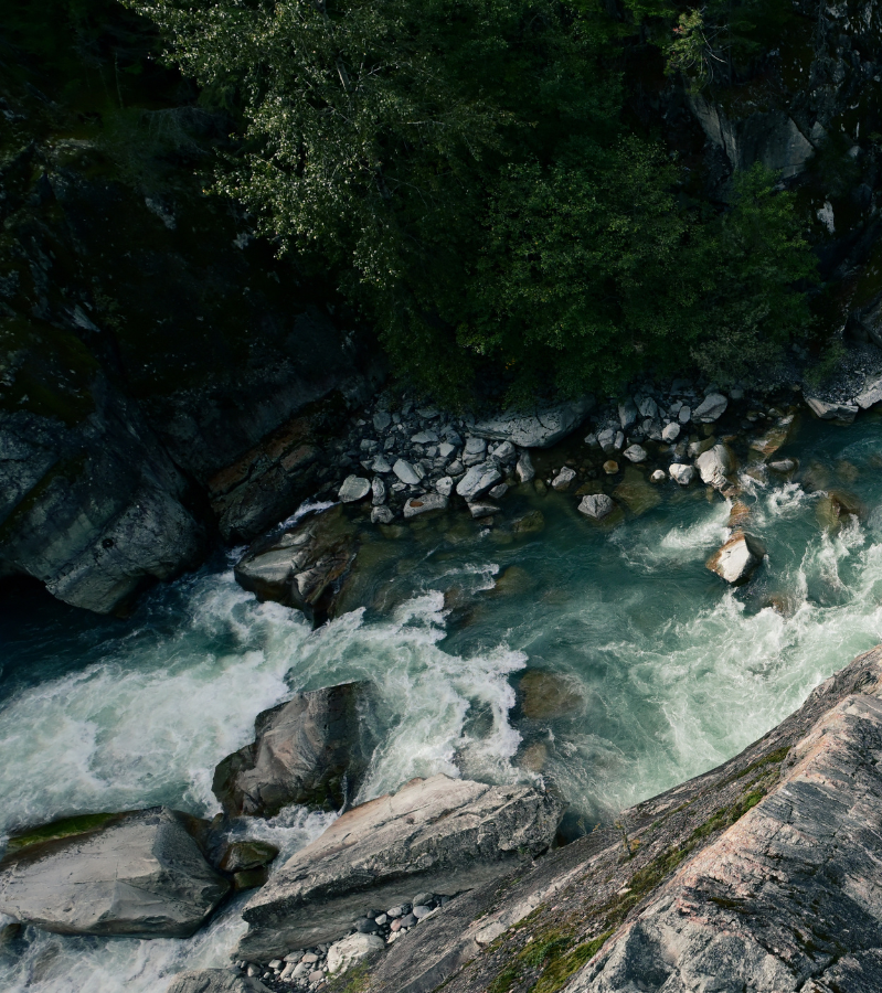 NikonUSA tweet picture