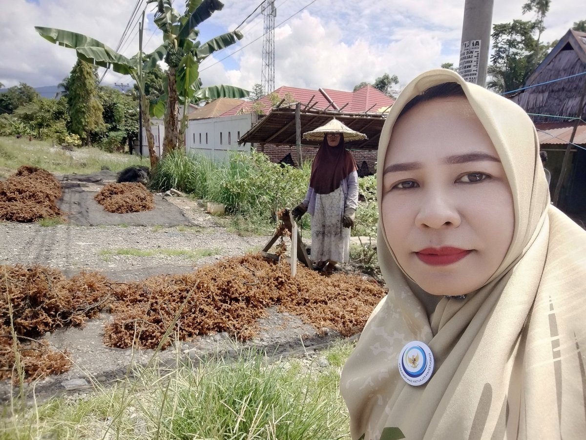 hasrlana80's tweet photo. Rabu(11/12), Hasriana,Luhkan Kab.Luwu, Melaporkan Hasil Panen Rumput Laut E. cottonii di Anggota Pokdakan  Reski Bersama, Desa Tirowali kecamatan Ponrang, kurang lebih 1.300 Kg(Basah) harga jual Rp.3000/kg
#GiatLuhkanSatminkalMaros
#luhlapor
@BRPBAP3_Maros
@bppsdm_kp https://t.co/QeqjzHl2kH
