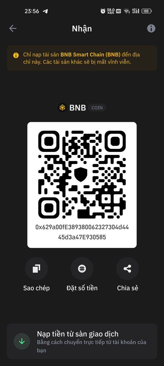 Thuy. Đỗ Quang tweet media