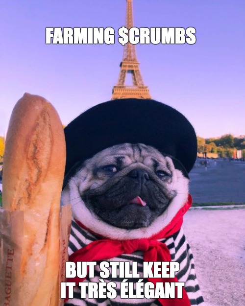 croutonfi's tweet photo. Very élégant, non?🥖 https://t.co/D9fHRI8zwZ