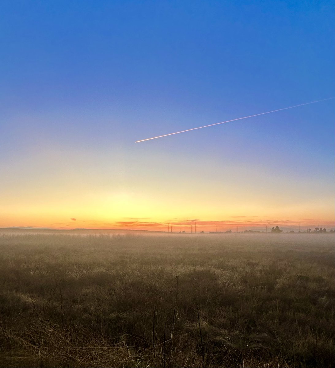 Farro73's tweet photo. Plane rushing to catch golden sunrise. https://t.co/MEUhwxxYRb