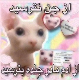 فالو =بک🎀فرشتهی بَد tweet media