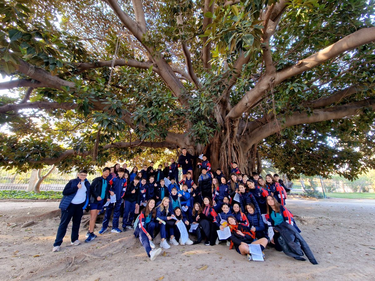 🌲🌳🌴 Los alumnos de 1.º ESO han realizado la actividad "Viajando con los árboles del mundo" en los jardines del Real de Valencia, dentro del proyecto interdisciplinar "La vuelta al mundo en 80 días".