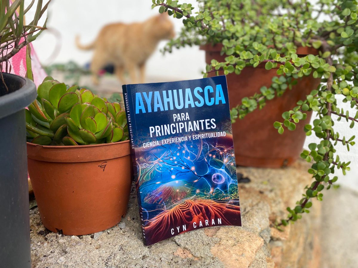 ‘Ayahuasca para principiantes’, relato de una iniciación.
plantaforma.org/ayahuasca-para…