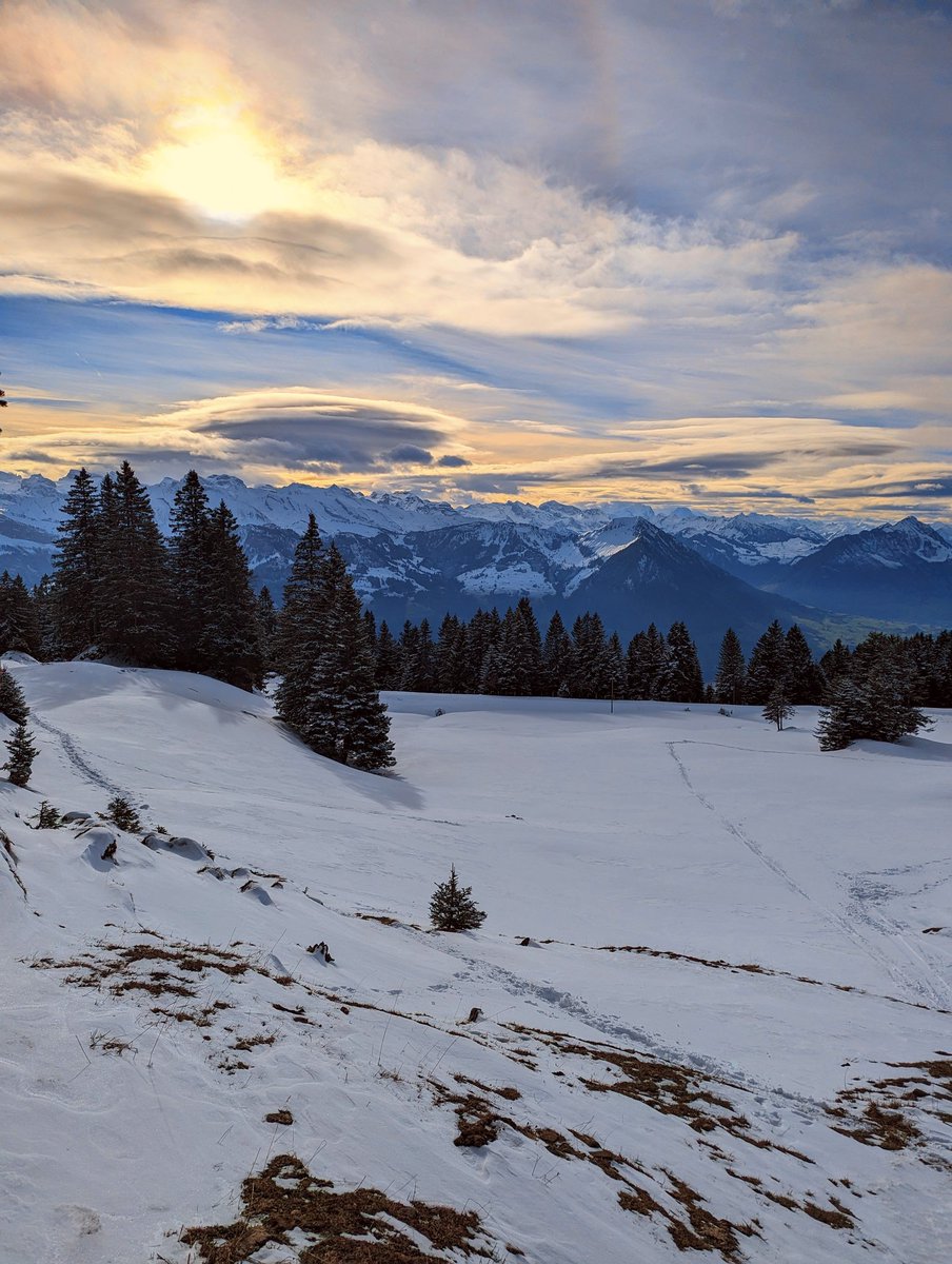 HikingSwitzerland tweet media