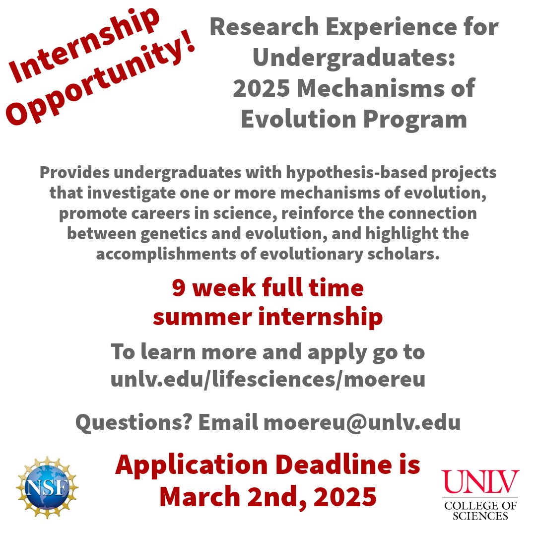 The application deadline is approaching for this internship opportunity for undergraduate students! 

Deadline is March 2nd, 2025
