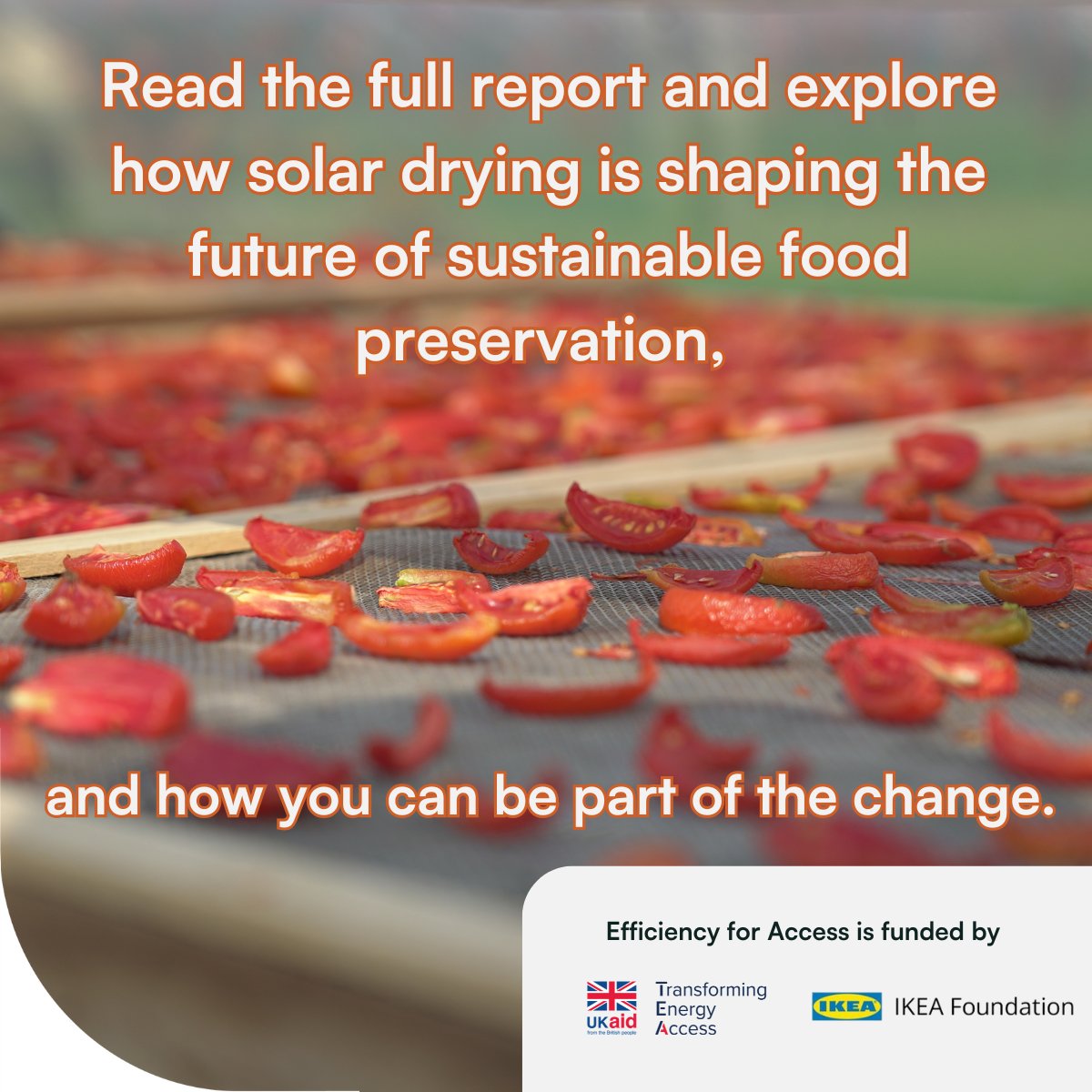 New #TechTrends report published just in time for the holidays: Tech Trends in Energy Access: Assessing the Solar Dryer Market! 

Learn how solar drying is shaping the future of sustainable food preservation. 

Full report: bit.ly/49JWTVg 

#CleanEnergyAccess