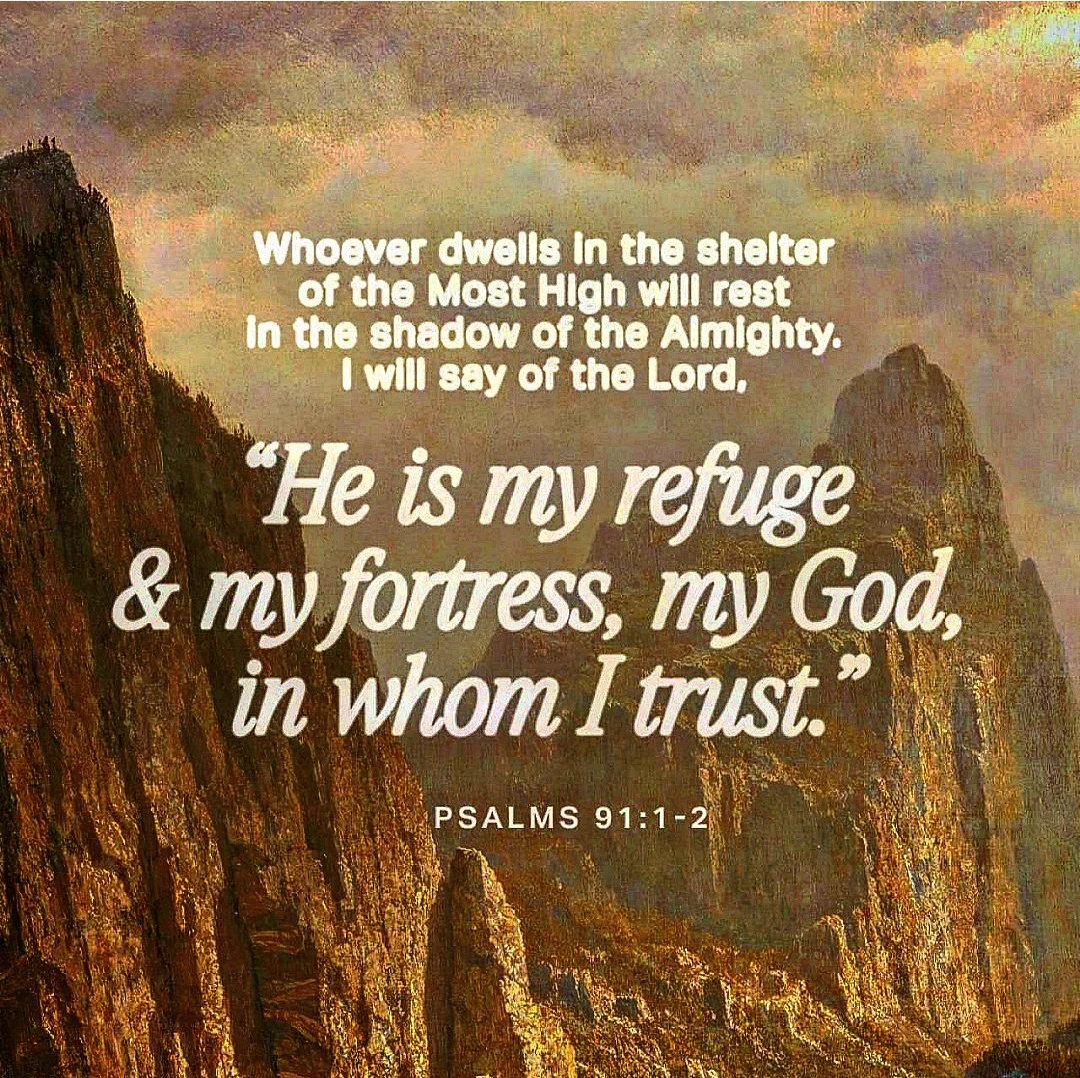 Capitol_Prayer's tweet photo. Psalm 91 ... My Refuge
Trust in the God of the Bible and 
Jesus Christ

https://t.co/z7Tis4IIih https://t.co/MT02nSjmlh