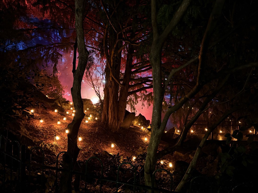 zoecorkhill's tweet image. Exploring the Luminate Light Trail at the Botanical Gardens
▸ bit.ly/3OZKweb

#Luminate #LightTrail #BirminghamBotanicalGardens